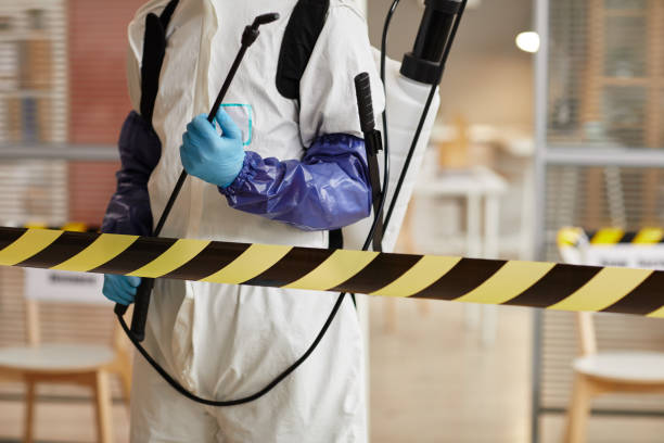 Professional Sewage Cleanup technician working in Glenwood, NJ
